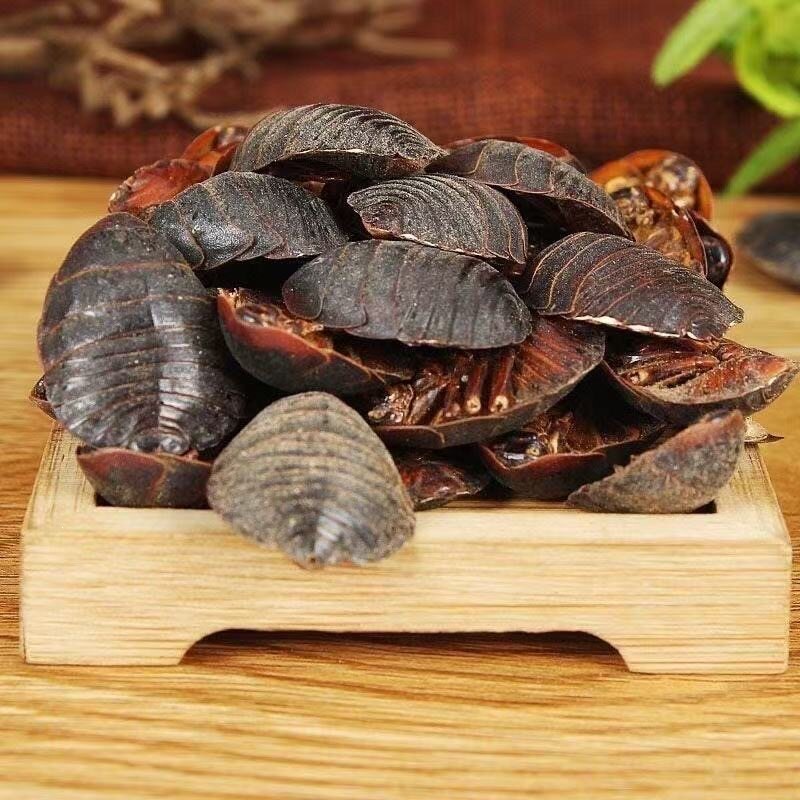 Dried Ground Beetle Tu Bie Chong 500g Wild-Caught Whole Insect TCM Herbal Ingredient for Decoction Use key features
