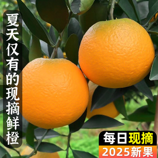 �������r10�����ĳ�ե֭���w�������ЋDĚ���r��������ˮ�����l