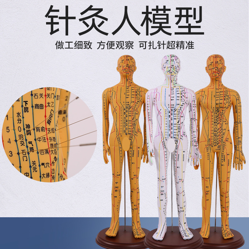 52CM超清晰经络 男女人体模型人体经络模型中医铜人针灸穴位模型