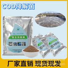 ���I������ˮվ���þ��N���Ը߷�ֳ��̎��Ч�ʸ߸�Ч��ˮ���N