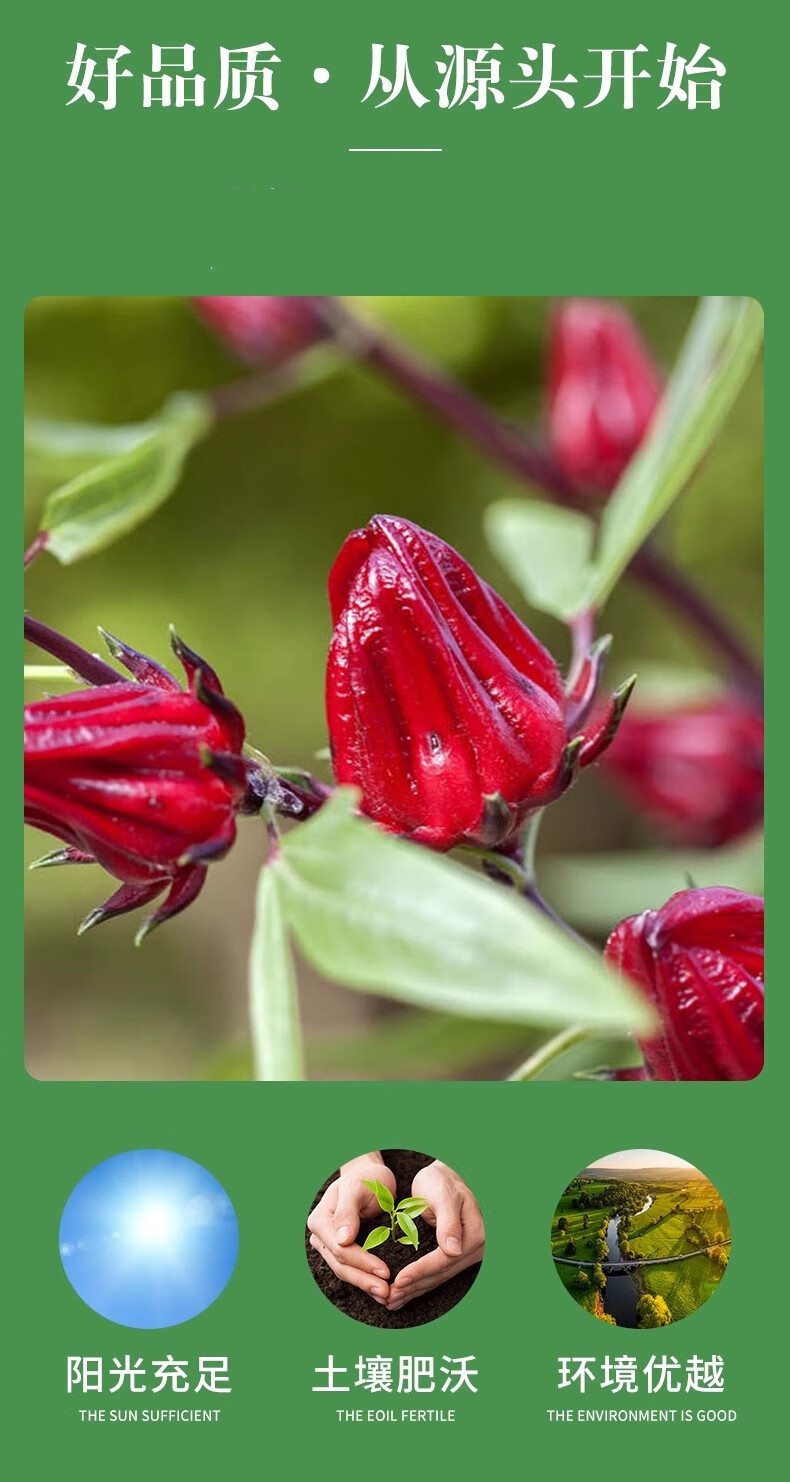 Dried Roselle Hibiscus Tea Luo Shen Hua Whole Flowers 500g Yunnan Herbal Floral Infusion specifications