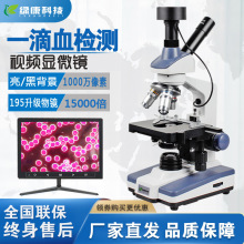 跨境专供绿康血液血细胞观察检测分析仪一滴血检测仪301M显微镜