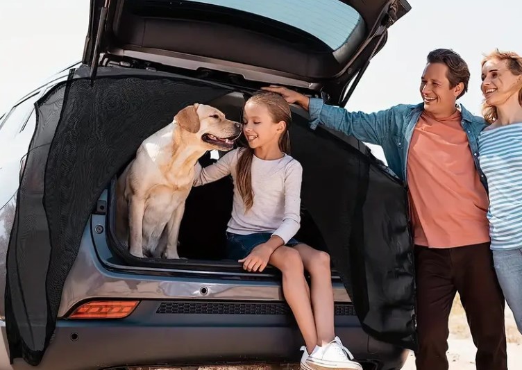 屏幕截图 2024-05-08 155912.jpg