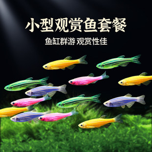 �Ꭷ�~�^�p�~С�͵�ˮ���~����B��ɏ�����R�~���~��ʹ�~�~��С�~
