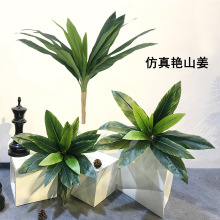 ���滨�~����  ����ľ�Ꭷ����ֲ���Gֲ�ٻ��٘����Թ����b�