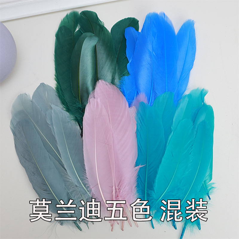 莫兰迪五色 混装.jpg