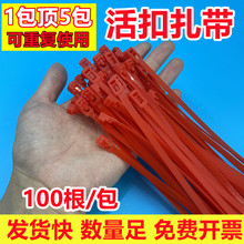 �tɫ�����������100����c��������������������������؏���