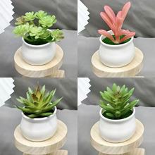 跨境爆款办公室mini仿真多肉盆栽亚马逊仿真植物创意多肉盆景