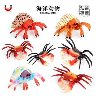 儿童认知 仿真海洋动物海底世界生物螃蟹寄居蟹塑胶 玩具摆件手办