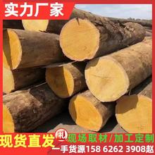 �M���SӲľ�Sđľ ԭľľ�� �SӲľ�S��ľ�S̴����ľ��ԭľ���