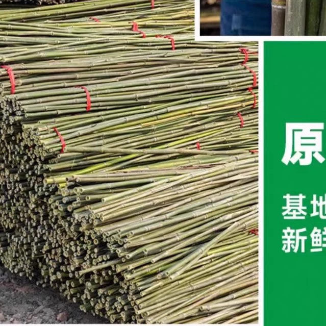 Огородная рама из бамбуковых шестов для овощей, огурцов, помидоров и бобов; бамбуковый забор, маленький бамбук, тонкие бамбуковые шесты, решетка для винограда.