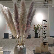 �JȔ�ɻ������滨�͏d�[�O��Y������Ȕ�������ins�[���~�}�ɻ�