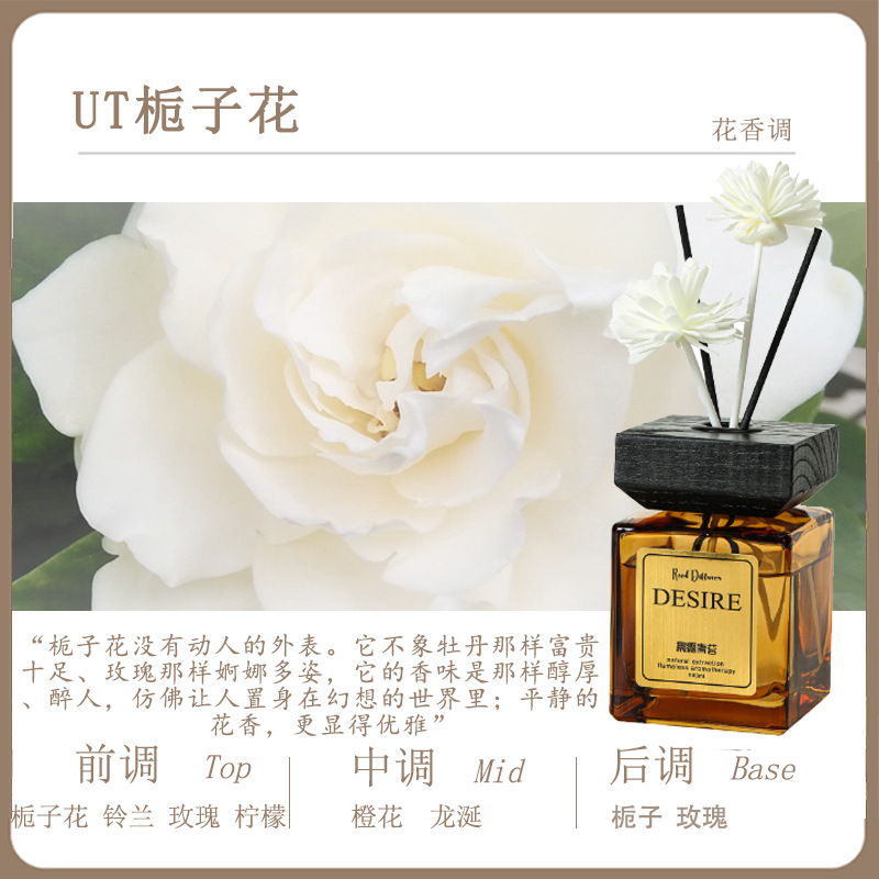 UT 치자나무 [전자상거래 핫모델]