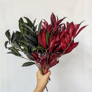 �������~ �҃�ܛ�b�����b���DIY�ֹ������ֻ���������յ���