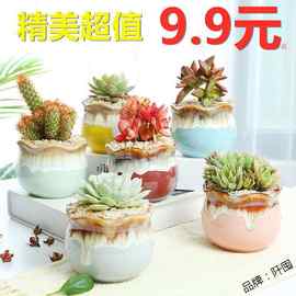 多肉花盆陶瓷批发大号特价清仓个性创意老桩室内大小号肉肉绿植物