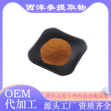 西洋参提取物10:1多规格西洋参粉人参皂甙西洋参萃取粉现货1b