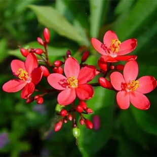 �ļ��_���������~ɺ�����~����������ՙѻ���ȫ�ꎧ���l؛