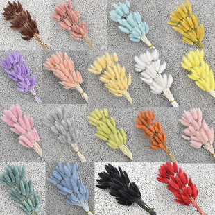 Rabbit tail grass 60 dried flowers cross-border dried flower bouquet material shooting props color dog tail grass factory wholesale