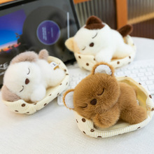 ����ɳ�l�C�CС��؈��ë�q�������܇�d�[��С�ܺ��깫����ż����