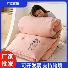 跨境原棉大豆纤维被春秋被空调被被子被芯冬被四季厂家直销批发
