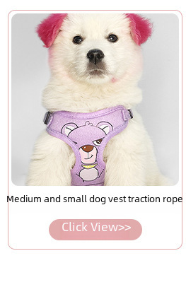 Dog Harness Leash