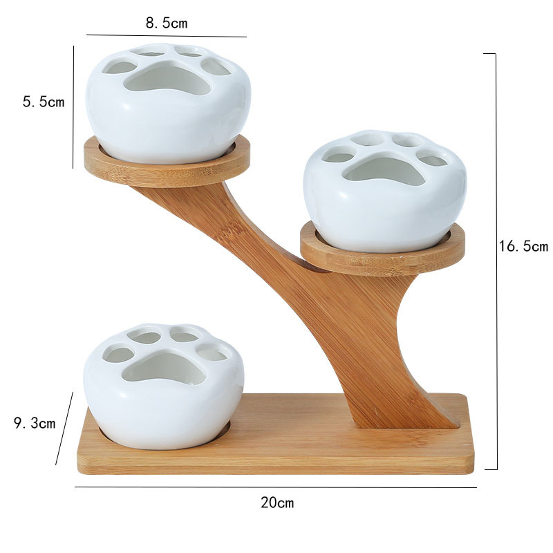 새끼 고양이 발톱 + 나무 꼭대기 (식물 없음)