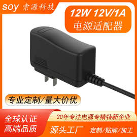 12v1a电源适配器插墙式印度规欧规12W数码相机路由器电源适配器