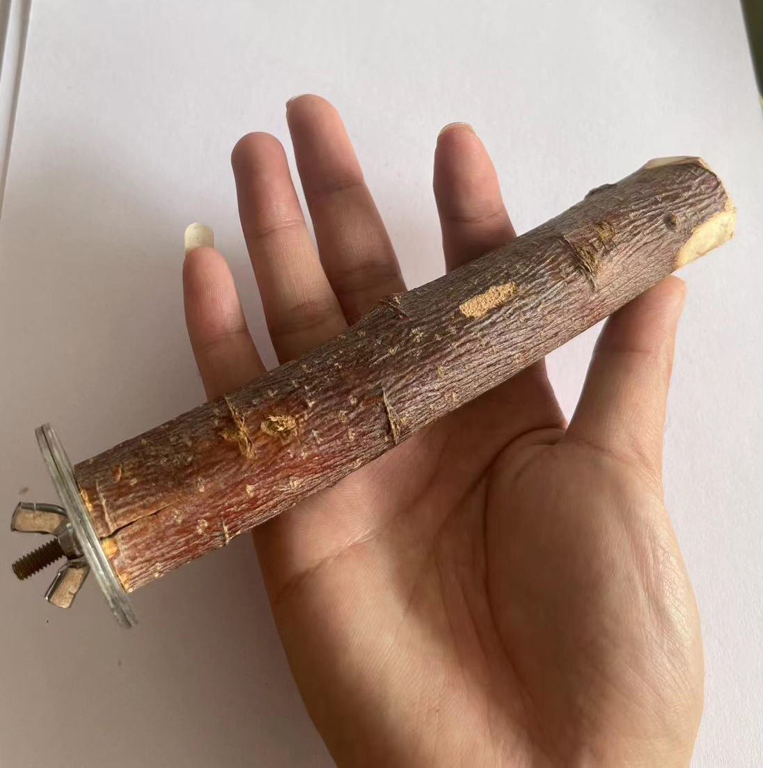 Percha de Madera de Manzano para Loros, Barra Afiladora de Uñas para Jaula de Pájaros