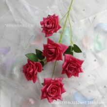 5�^õ���õ ��c�b� ��Y�õ��� �������b�������ٻ�
