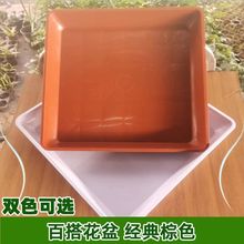 9��145�����бP���ϵױP���軨���мt�׵�����ˮ�跽�ε���|���l