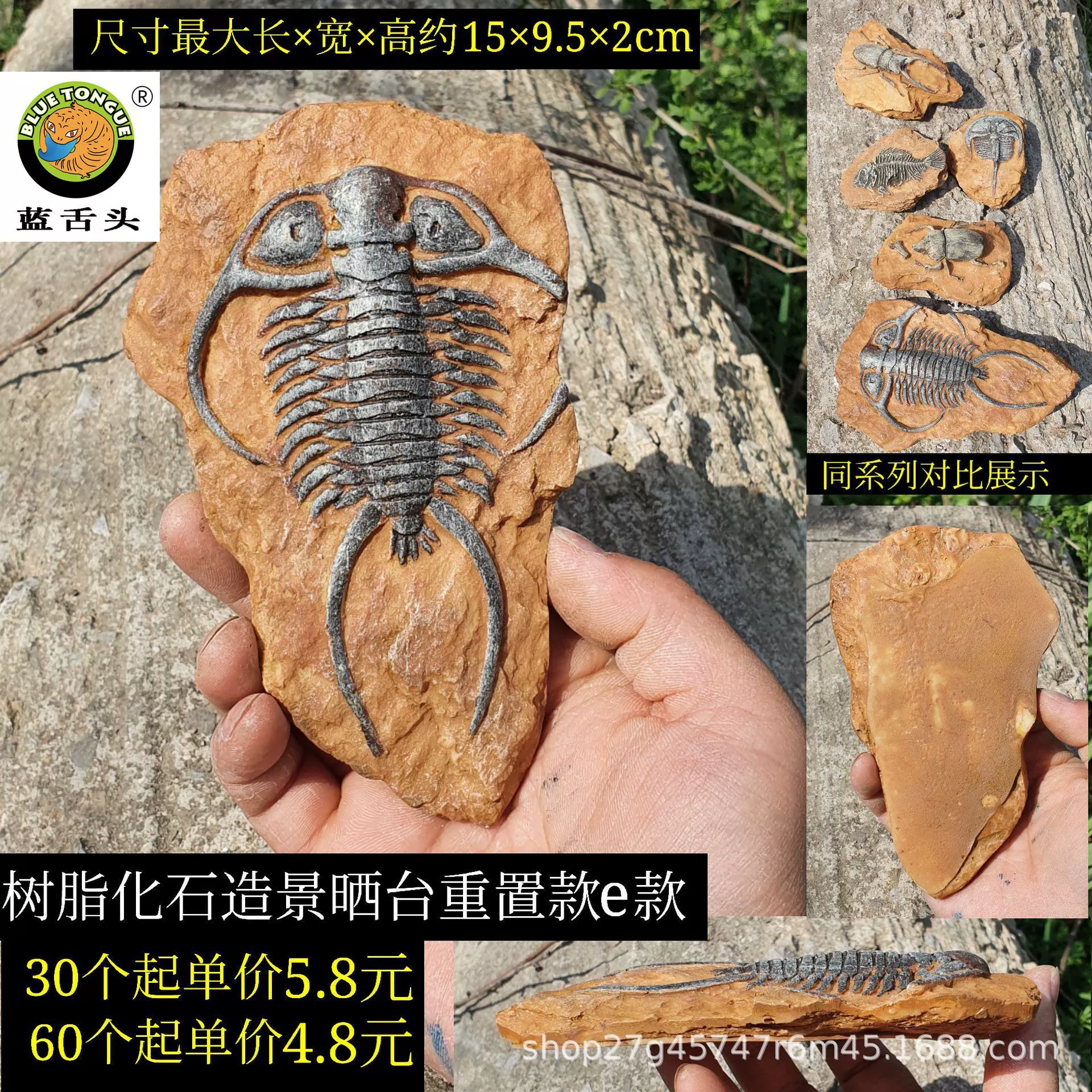 Палеонтологический трилобит Истинные окаменелости декоративный рептилий ящик пустыни ландшафта табу влажная грива льва рептилия