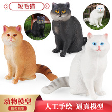 �������ģ�͌���������ë؈��؈����؈�����k���[���Ʒ�YƷ�Y��