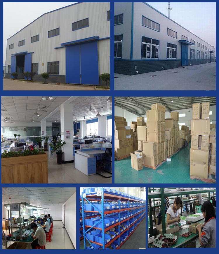 一键复制_20220424175645