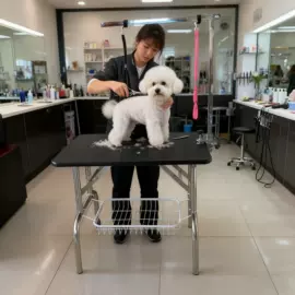 美容台;狗狗窝/笼/垫;宠物周边用品