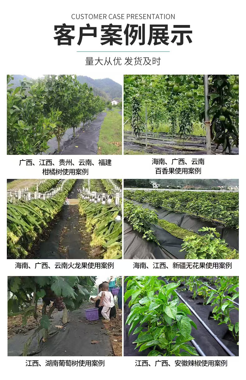 O1CN01tHmsPu1CofjRj6S9z_!!2213307740128-0-cib.jpg?__r__=1741155719150