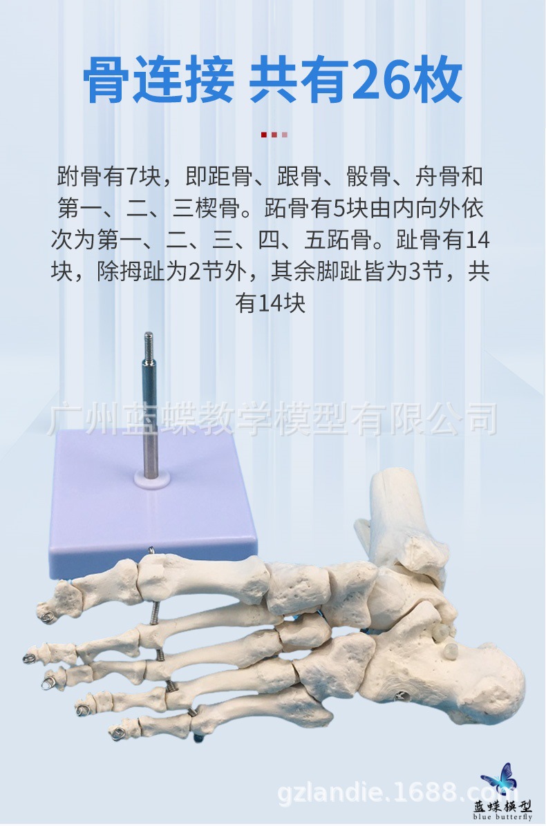 详情_04
