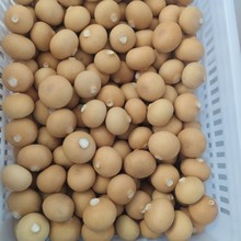 �_�ں��J�������Ѻ��Jȥ���^ ���_��������J�ְ��_�ں��J