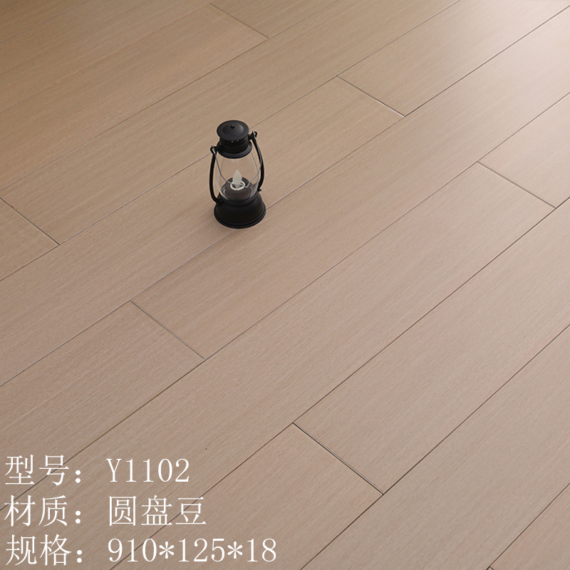 살구 Y1102 디스크 콩