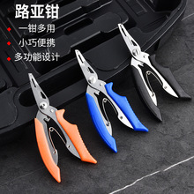 ~·ÿ~QpeUƤ~QO߼~A~ើ