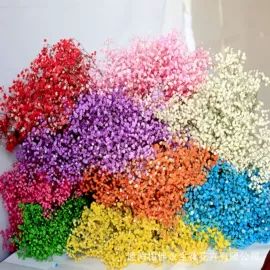 永生花;鲜花花艺制品;干花