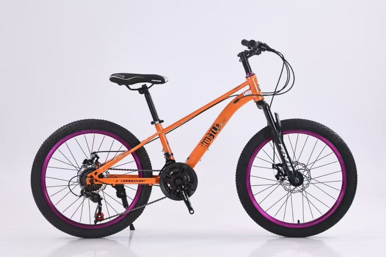 22 Phoenix viento violeta círculo bicicletas de montaña cambio de velocidad bicicleta de montaña para adultos