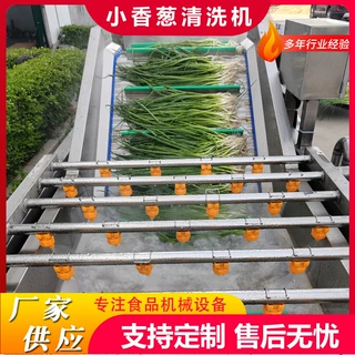 定制西蓝花去农残气泡清洗机多功能鱼皮气泡清洗线海带清洗机设备