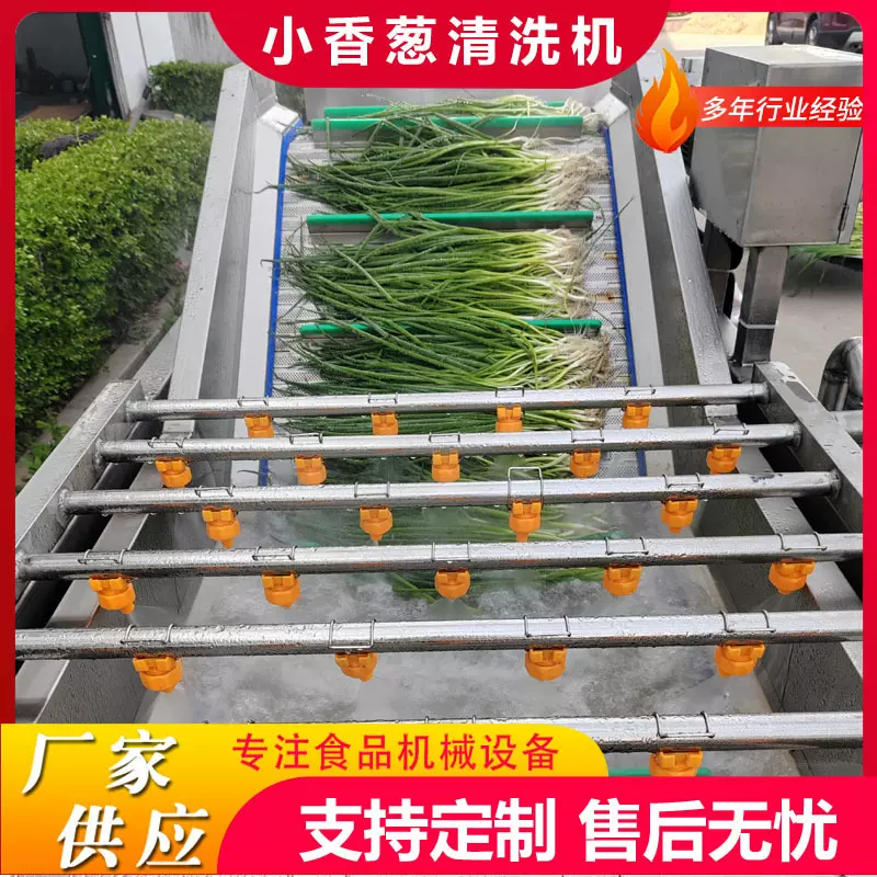 商用大型果蔬气泡清洗机蒜黄气泡翻浪清洗机香菜去泥沙洗菜机设备