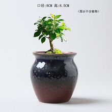 窑变釉色风格陶瓷粗陶花盆创意多肉植物花盆百搭台桌盆栽批发