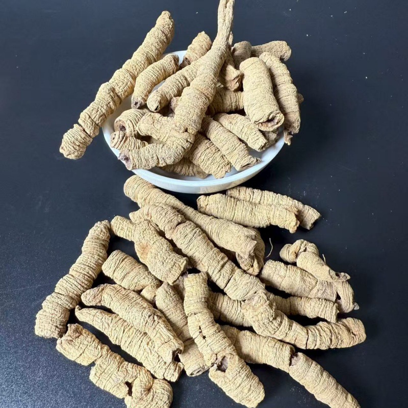 Morinda Root Powder Ba Ji Tian 500g Guangdong Dried Herb for Decoction and Tonic Blends specifications