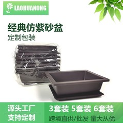 Foreign trade source: Plastic vintage flower pot in imitation purple sand dark brown—perfect for succulents, small potted plants, and balcony mini bonsai.