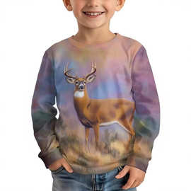 跨境亚马逊Temu春季儿童圆领卫衣欧美独立站印花休闲日常长袖卫衣