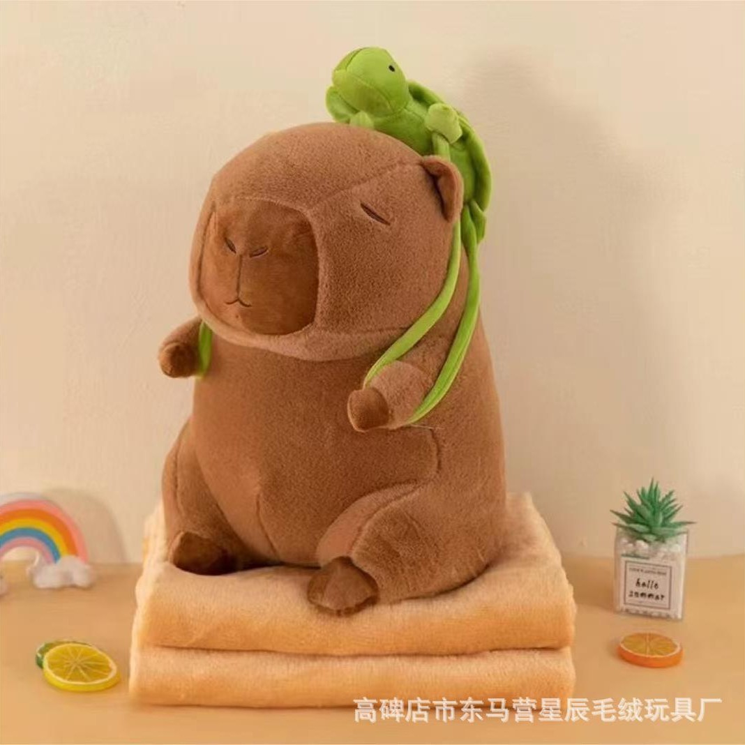 거북이 카피바라