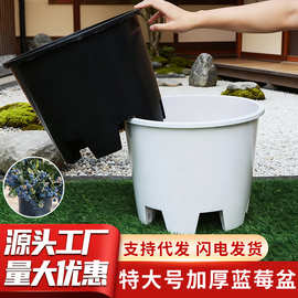 特大号塑料花盆圆形青山侧排孔控根盆加厚绿植花卉呼吸种植盆批发