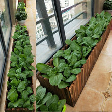 ����̼������ľ����ͥԺ�Nֲ���̨�N�����L���λ���Ӻ�ľ����